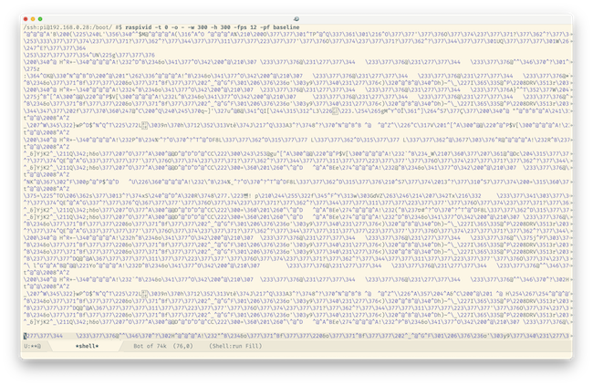 Console output of raspivid