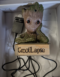 A timelapse camera in a wood case with groot on top of it in a box